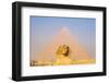 Giza, Cairo, Egypt. The Great Sphinx and the Pyramid of Khafre.-Emily Wilson-Framed Photographic Print