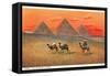 Giza Pyramid at Sunset, Egypt-null-Framed Stretched Canvas