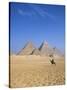 Giza Pyramids, Cairo, Egypt-Jon Arnold-Stretched Canvas