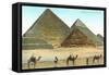 Giza Pyramids, Camels, Egypt-null-Framed Stretched Canvas