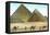 Giza Pyramids, Camels, Egypt-null-Framed Stretched Canvas