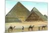 Giza Pyramids, Camels, Egypt-null-Mounted Premium Giclee Print