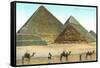 Giza Pyramids, Camels, Egypt-null-Framed Stretched Canvas