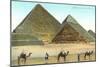 Giza Pyramids, Camels, Egypt-null-Mounted Art Print