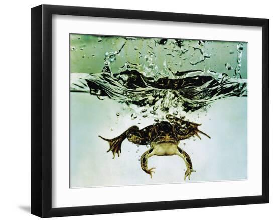 Premium Photographic Print, , large