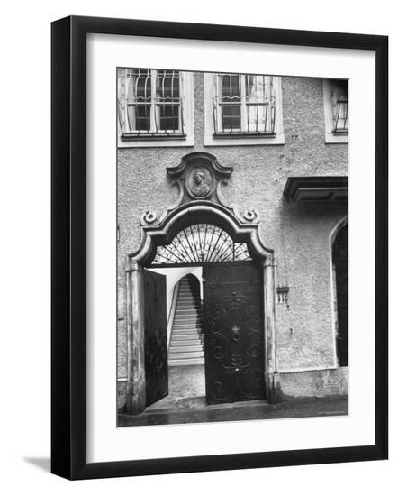 Premium Photographic Print, , large