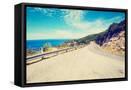 Framed Canvas