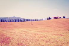 Pisa, Tuscany Italy-gkuna-Photographic Print