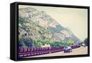 Framed Canvas