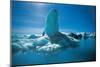 Glacerlake Jokulsarlon Iceland-null-Mounted Art Print