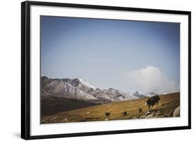 Glacial Elevation-Andrew Geiger-Framed Giclee Print