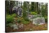 Glacial erratic boulders, Grand Tetons National Park, Wyoming, USA-Roddy Scheer-Stretched Canvas