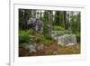 Glacial erratic boulders, Grand Tetons National Park, Wyoming, USA-Roddy Scheer-Framed Photographic Print