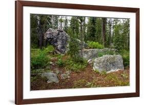 Glacial erratic boulders, Grand Tetons National Park, Wyoming, USA-Roddy Scheer-Framed Photographic Print