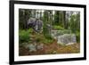 Glacial erratic boulders, Grand Tetons National Park, Wyoming, USA-Roddy Scheer-Framed Photographic Print