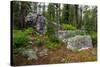 Glacial erratic boulders, Grand Tetons National Park, Wyoming, USA-Roddy Scheer-Stretched Canvas