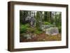 Glacial erratic boulders, Grand Tetons National Park, Wyoming, USA-Roddy Scheer-Framed Photographic Print