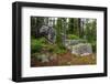 Glacial erratic boulders, Grand Tetons National Park, Wyoming, USA-Roddy Scheer-Framed Photographic Print