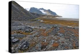 Glacial Foreshore, Magdalenefjord, Svalbard Looking West-David Lomax-Stretched Canvas