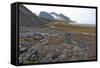 Glacial Foreshore, Magdalenefjord, Svalbard Looking West-David Lomax-Framed Stretched Canvas