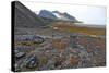 Glacial Foreshore, Magdalenefjord, Svalbard Looking West-David Lomax-Stretched Canvas