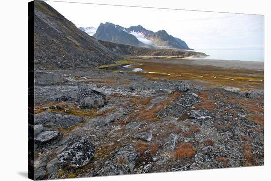 Glacial Foreshore, Magdalenefjord, Svalbard Looking West-David Lomax-Stretched Canvas