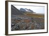 Glacial Foreshore, Magdalenefjord, Svalbard Looking West-David Lomax-Framed Photographic Print