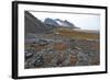 Glacial Foreshore, Magdalenefjord, Svalbard Looking West-David Lomax-Framed Photographic Print