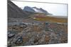 Glacial Foreshore, Magdalenefjord, Svalbard Looking West-David Lomax-Mounted Photographic Print