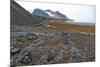 Glacial Foreshore, Magdalenefjord, Svalbard Looking West-David Lomax-Mounted Photographic Print