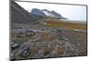 Glacial Foreshore, Magdalenefjord, Svalbard Looking West-David Lomax-Mounted Photographic Print