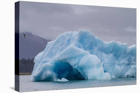 Glacial Ice Calved from the Leconte Glacier-Michael Nolan-Stretched Canvas