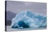 Glacial Ice Calved from the Leconte Glacier-Michael Nolan-Stretched Canvas