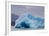 Glacial Ice Calved from the Leconte Glacier-Michael Nolan-Framed Photographic Print