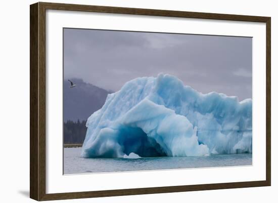 Glacial Ice Calved from the Leconte Glacier-Michael Nolan-Framed Photographic Print