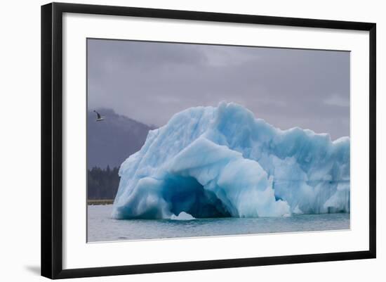 Glacial Ice Calved from the Leconte Glacier-Michael Nolan-Framed Photographic Print