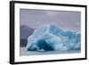 Glacial Ice Calved from the Leconte Glacier-Michael Nolan-Framed Photographic Print