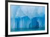 Glacial Ice Calved from the Leconte Glacier-Michael Nolan-Framed Photographic Print