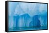 Glacial Ice Calved from the Leconte Glacier-Michael Nolan-Framed Stretched Canvas