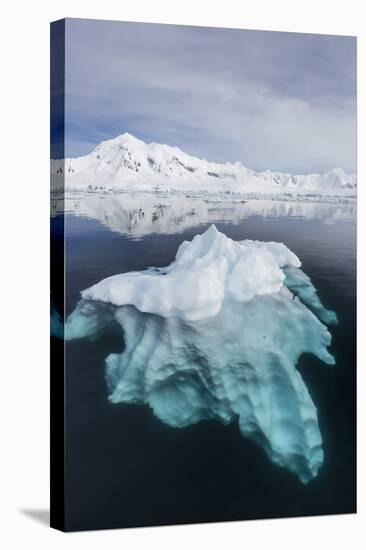 Glacial Ice Floating in the Neumayer Channel Near Wiencke Island, Antarctica, Polar Regions-Michael Nolan-Stretched Canvas