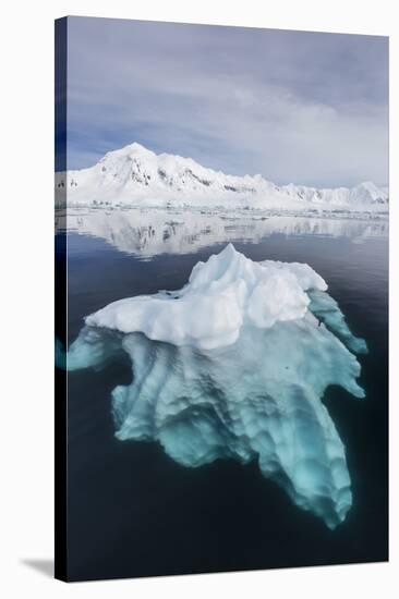 Glacial Ice Floating in the Neumayer Channel Near Wiencke Island, Antarctica, Polar Regions-Michael Nolan-Stretched Canvas