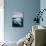 Glacial Ice Floating in the Neumayer Channel Near Wiencke Island, Antarctica, Polar Regions-Michael Nolan-Photographic Print displayed on a wall