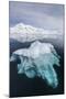 Glacial Ice Floating in the Neumayer Channel Near Wiencke Island, Antarctica, Polar Regions-Michael Nolan-Mounted Photographic Print
