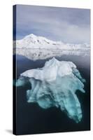 Glacial Ice Floating in the Neumayer Channel Near Wiencke Island, Antarctica, Polar Regions-Michael Nolan-Stretched Canvas