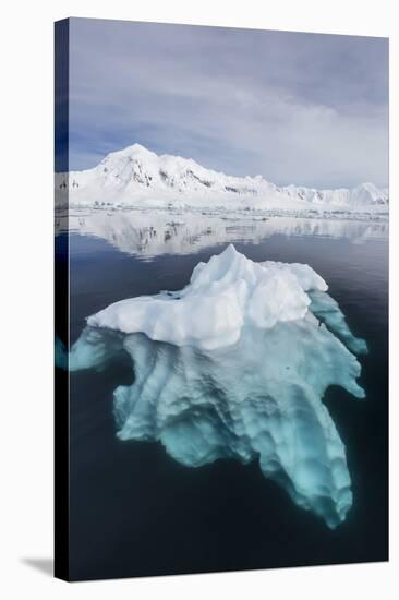 Glacial Ice Floating in the Neumayer Channel Near Wiencke Island, Antarctica, Polar Regions-Michael Nolan-Stretched Canvas