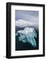 Glacial Ice Floating in the Neumayer Channel Near Wiencke Island, Antarctica, Polar Regions-Michael Nolan-Framed Photographic Print