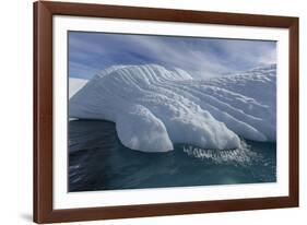 Glacial Iceberg Detail at Cuverville Island, Antarctica, Polar Regions-Michael Nolan-Framed Photographic Print