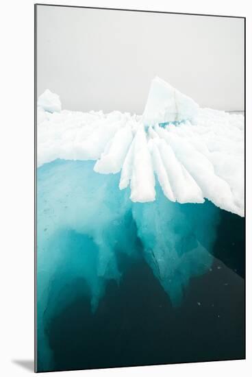 Glacial Iceberg Floating Along Coast, Spitsbergen, Svalbard, Norway-Steve Kazlowski-Mounted Photographic Print