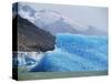 Glacial Icebergs on Lago Argentina, Patagonia, Argentina, South America-Lousie Murray-Stretched Canvas