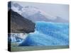 Glacial Icebergs on Lago Argentina, Patagonia, Argentina, South America-Lousie Murray-Stretched Canvas